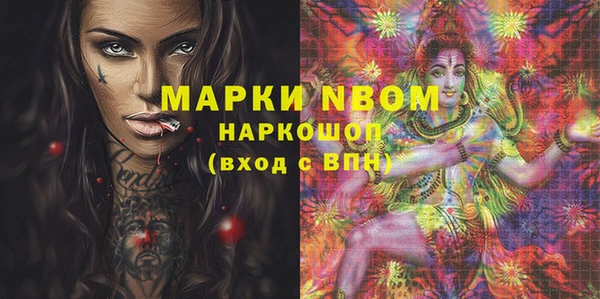 индика Белокуриха