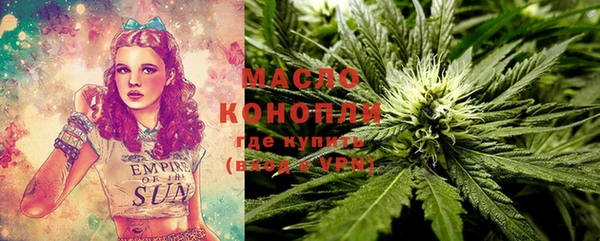 индика Белокуриха
