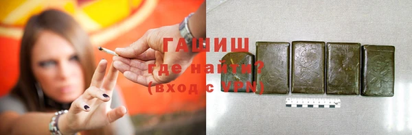 индика Белокуриха