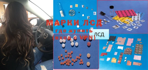индика Белокуриха