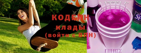 индика Белокуриха