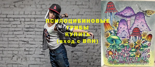индика Белокуриха